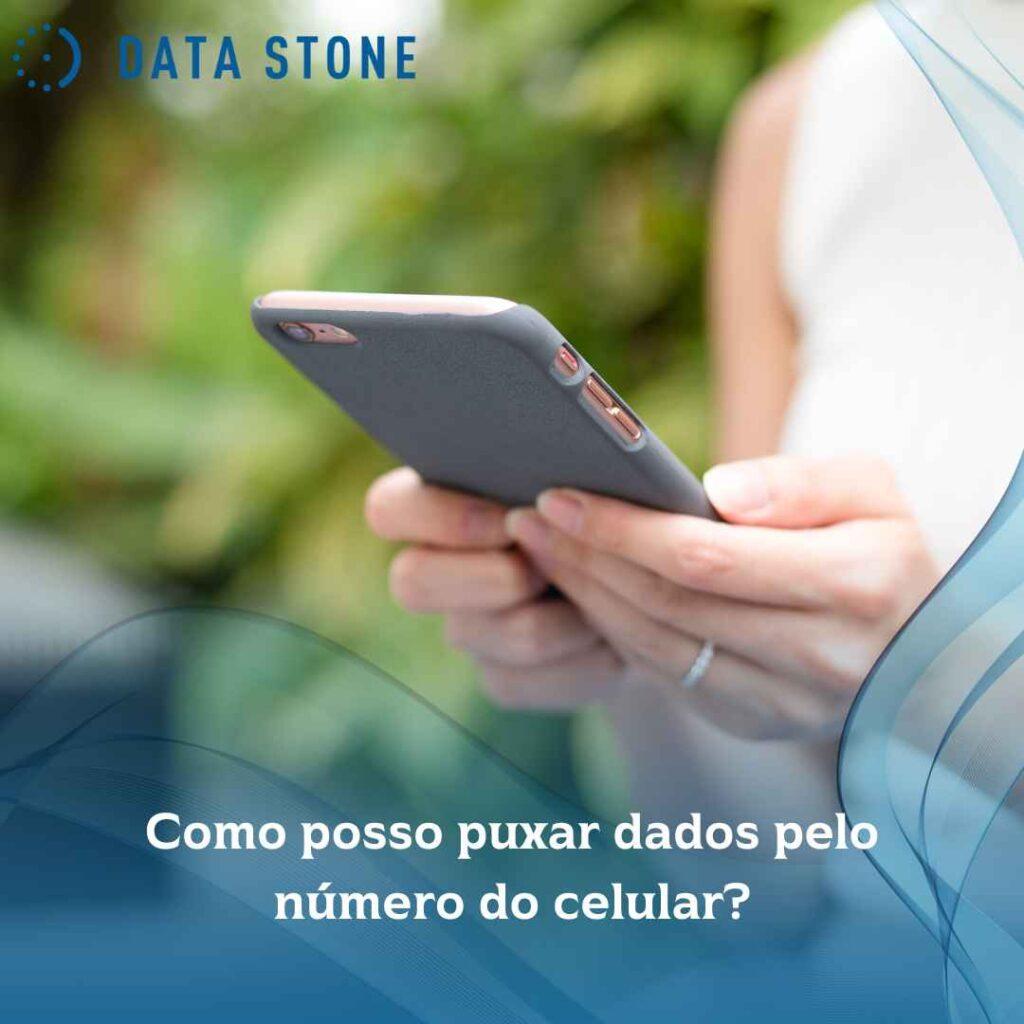 puxar dados pelo cpf grátis